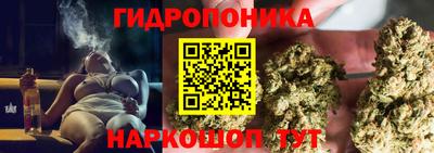 амф Абакан