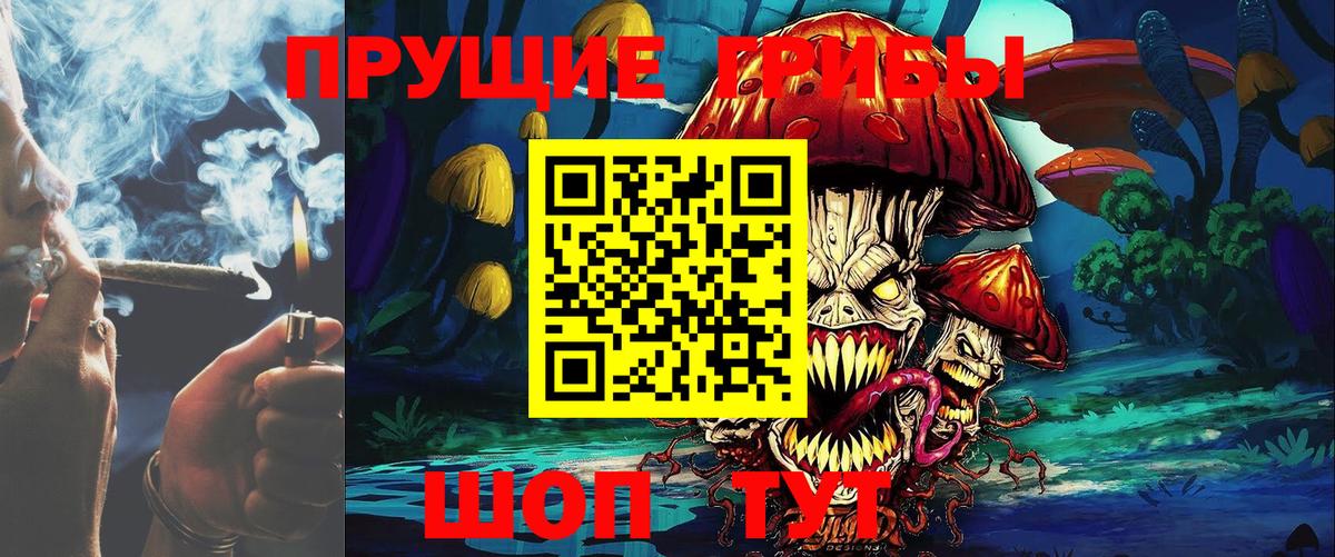 Галлюциногенные грибы Psilocybe Алексин