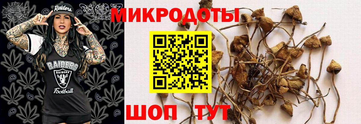 Псилоцибиновые грибы ЛСД  Вход с VPN  Алексин 